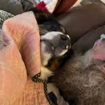 Kyle Pattison - @iwnzuska54 - Instagram