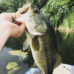 Kyle Paxton - @kayak_assassin - Instagram