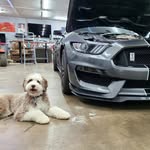 Kyle Peavey - @kpeavey4 - Instagram