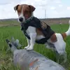 kpthatsme - @kyle.a.pendleton - TikTok