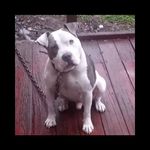 Kyle Pendleton - @libra_doolie89 - Instagram