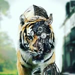 Kyle Penland - @kylepenl - Instagram