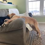 Kyle Pepperman - Facebook