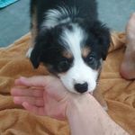 KP - @kyleperrin - Instagram