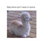 Kyle Phan - @kyle.phan177 - Instagram