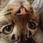 Kyle Phan - @kyelphan - Instagram