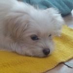 kyle piazza - @piazzakyle - Instagram