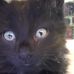 Kyle Pickett - Facebook