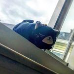 Pickle kyle - @pickle_kyle - Instagram