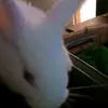 Kyle Pierce - @kyle.pierce32 - TikTok