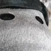 kyle! - @kyle_pillow_pet - TikTok