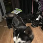 Kylepinder - @kyl.epinder - Instagram