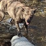 Kyle Pinette - @kylejamezakakyle - Instagram