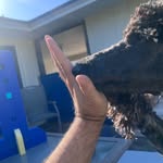 Kyle Pinkley - @nongobi - Instagram