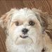 Kyle Pires - Facebook