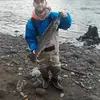 Kyle Place - @kyleplace - TikTok
