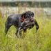 Kyle Nicholas Pletcher - Facebook