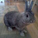 Kyle Pletcher - @kmp2253 - Instagram
