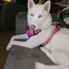 Kyle Plunkett - @kyle.plunkett8 - TikTok