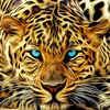 Kyle Pollock876 - @kylepollock73 - TikTok
