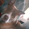 Kyle Pollock - @kyle.pollock3 - TikTok