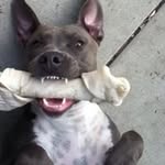 Kyle Ponce - @bajangles65 - Instagram