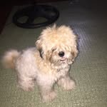 You Got To Love Everybody - @kyle_ponce - Instagram