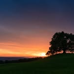 Kyleponting - @kyle_ponting2 - Instagram