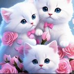 Ƹ̵̡Ӝ̵̨̄Ʒ웃❤ j_bray ❤유Ƹ̵̡Ӝ̵̨̄Ʒ - @poppi_kyle - Instagram