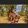kyleposthumus - @kyleposthumus - TikTok