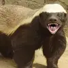 kyleprather1 - @kyle.prather74 - TikTok