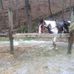 Kyle Priddy - Facebook