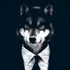 BLACK WOLF - @kyleprosper - TikTok