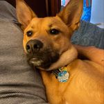 kyle  prosperi - @prosperi_170 - Instagram