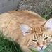 Kyle Puder - Facebook