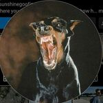 Kyle Purser - @silly._g00se444 - Instagram