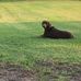 Kyle Pyron - Facebook