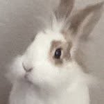 Kyle Quinlan - @passwordzz - Instagram