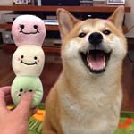 Kyle Quinlan - @someshittypersonal - Instagram