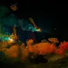 Kyle Rabideaux - @kyle.rabideaux - TikTok