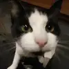 KK🤍 - @keiraleighkyle.1 - TikTok
