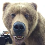 Kyle Ralston - @kyle_forawhile_ - Instagram