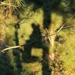 Kyle Rausch - @okwarrior1 - Instagram