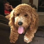 Kyle Rausch - @rauschy89 - Instagram