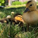Kyle Recker - @kyle.recker - Instagram