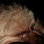kyle recker - @kylerecker09 - Instagram