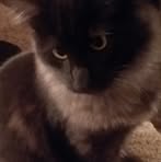 Kyle Rediske - Facebook