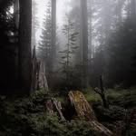 KyleRedman@3411 - @kyleredman3411 - Instagram