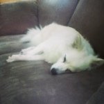 kyle Michael Reeder - @kylereeder - Instagram