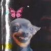kylee - @kylee.reinhardt - TikTok